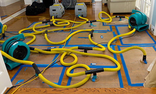 Professional Structural Drying And Dehumidification technician working in Carrollton, MO